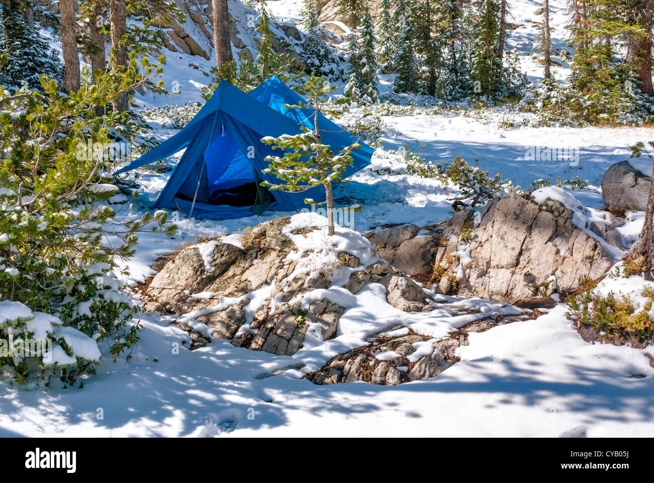 Idaho forest in the winter with a blue tent Stock Photo