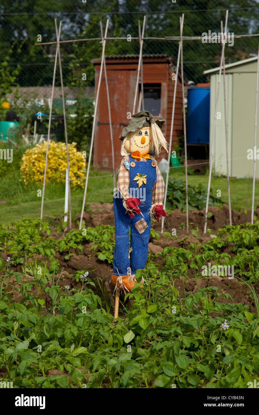 Happy scarecrow on vegetable patch on allotment, England Stock Photo