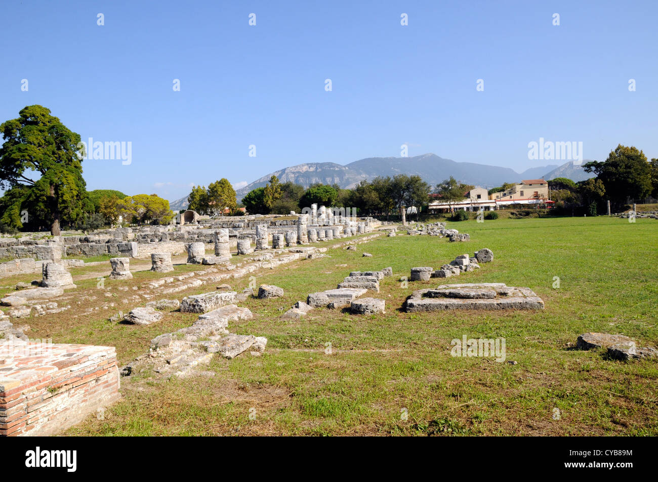 The Roman forum of the city of Paestum, south of Naples. Stock Photo
