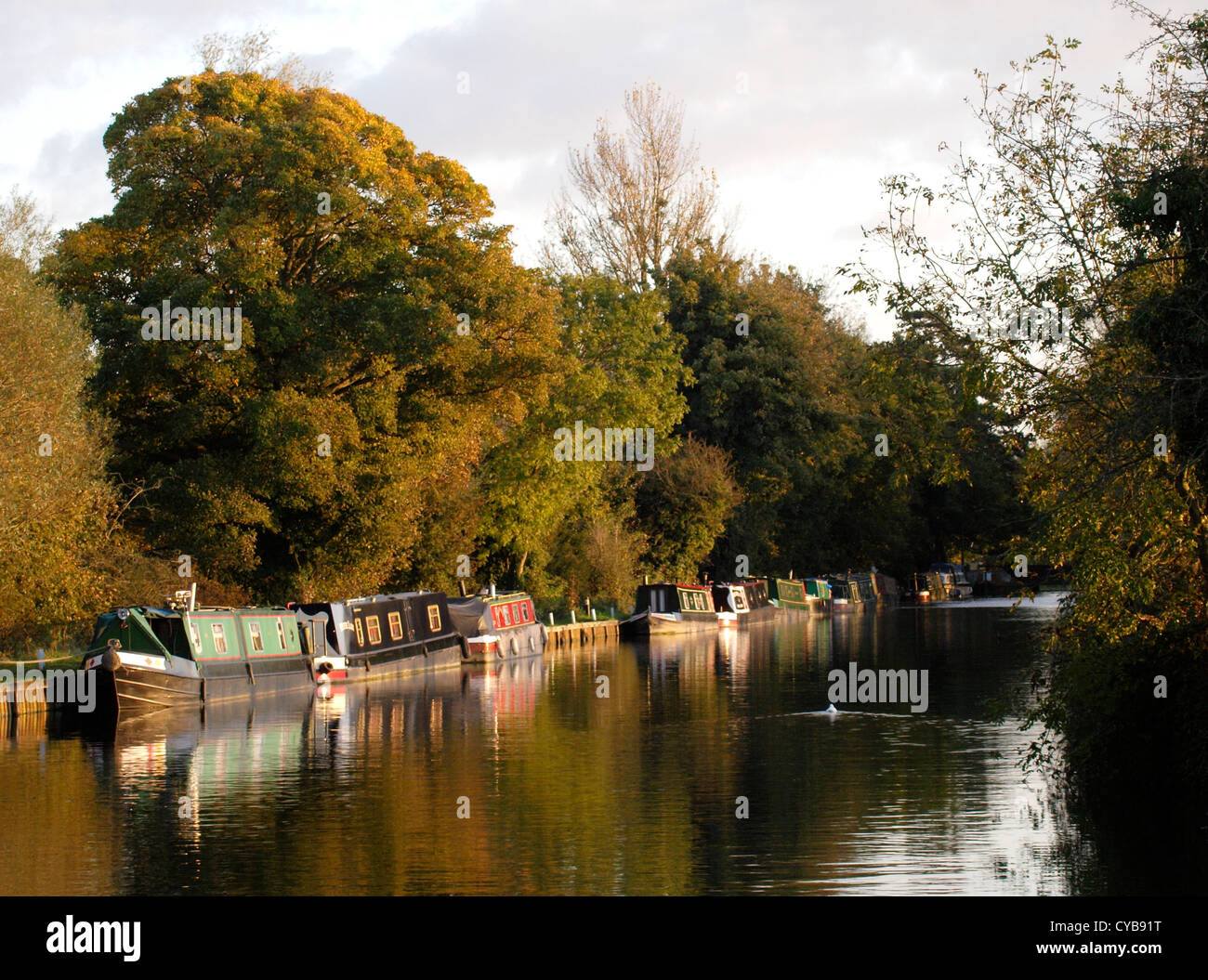 Autumn on The Gloucester and Sharpness Canal, UK Stock Photo