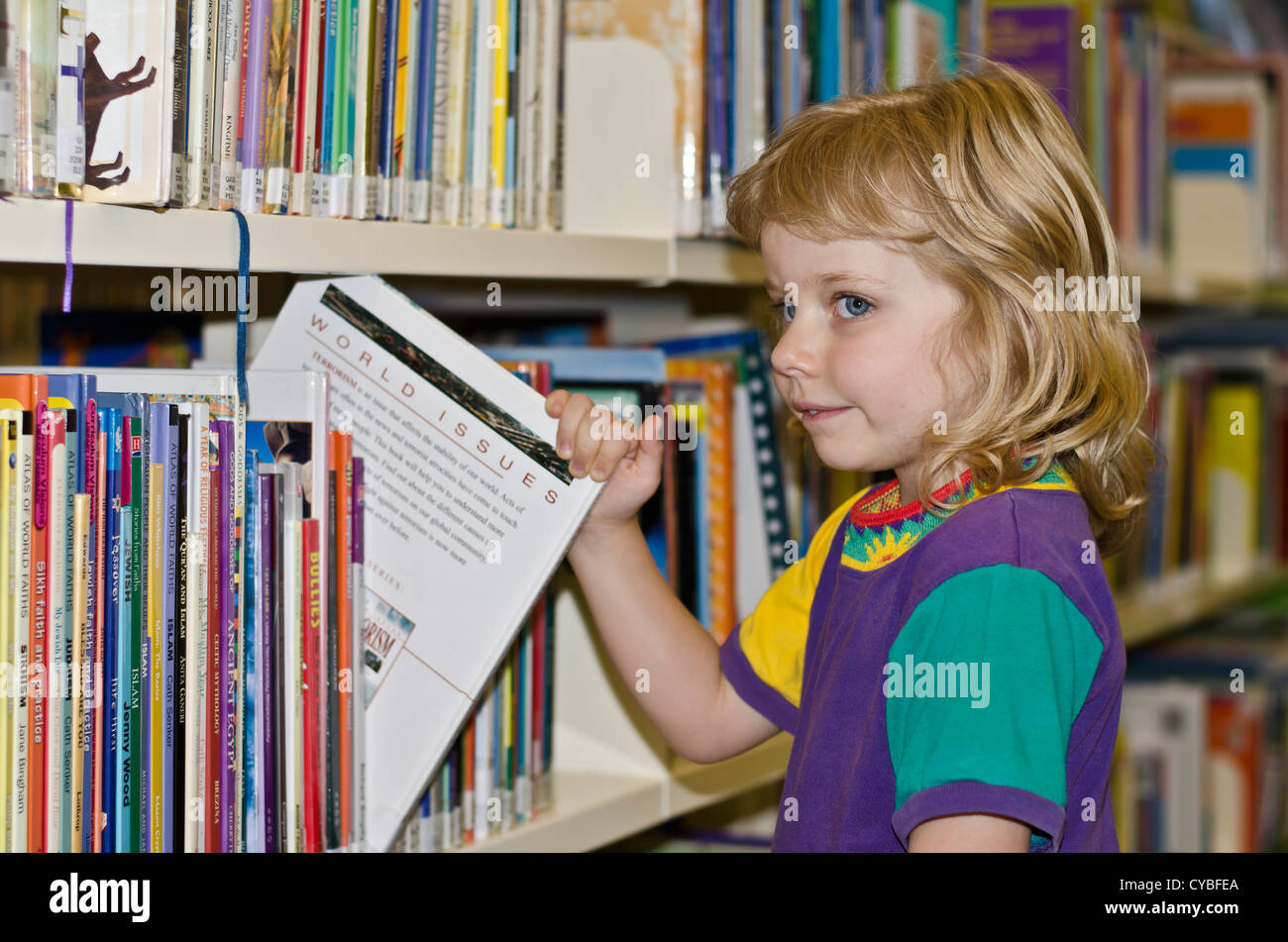 Library Books on shelf Stock Photo - Alamy