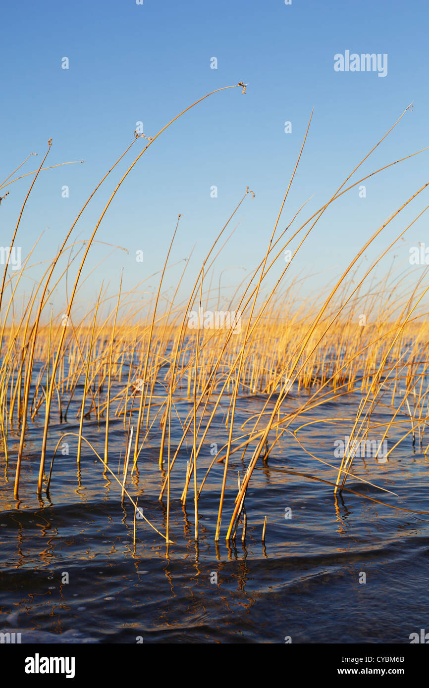 Upper red lake minnesota hires stock photography and images Alamy