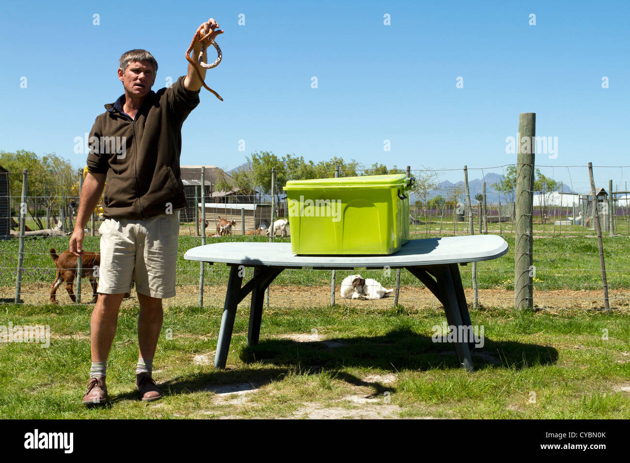 A snake demonstration for children at Giraffe House near Cape Town ...