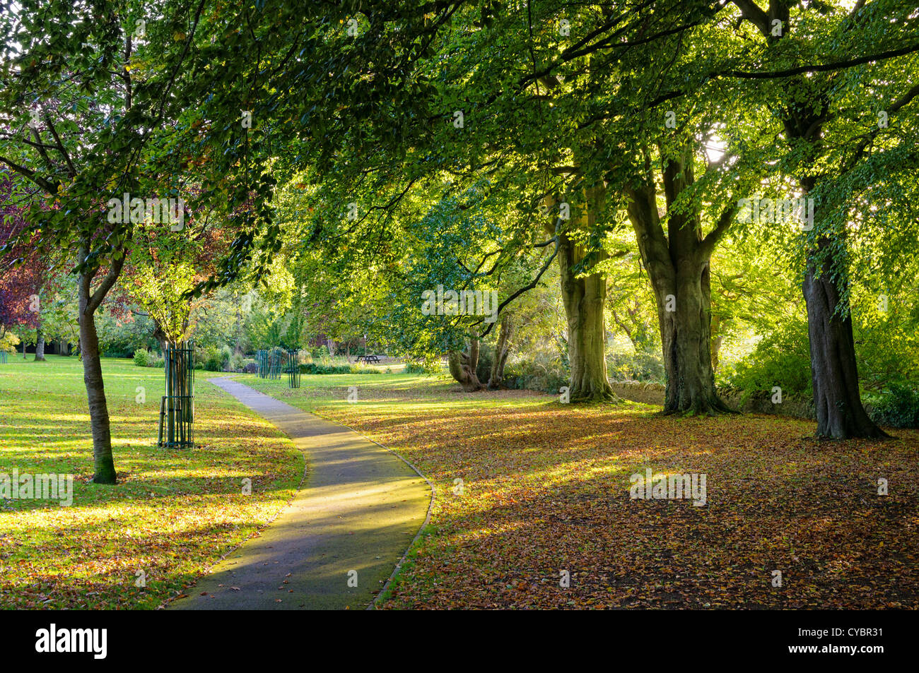 Urban park, England, UK in the autumn Stock Photo