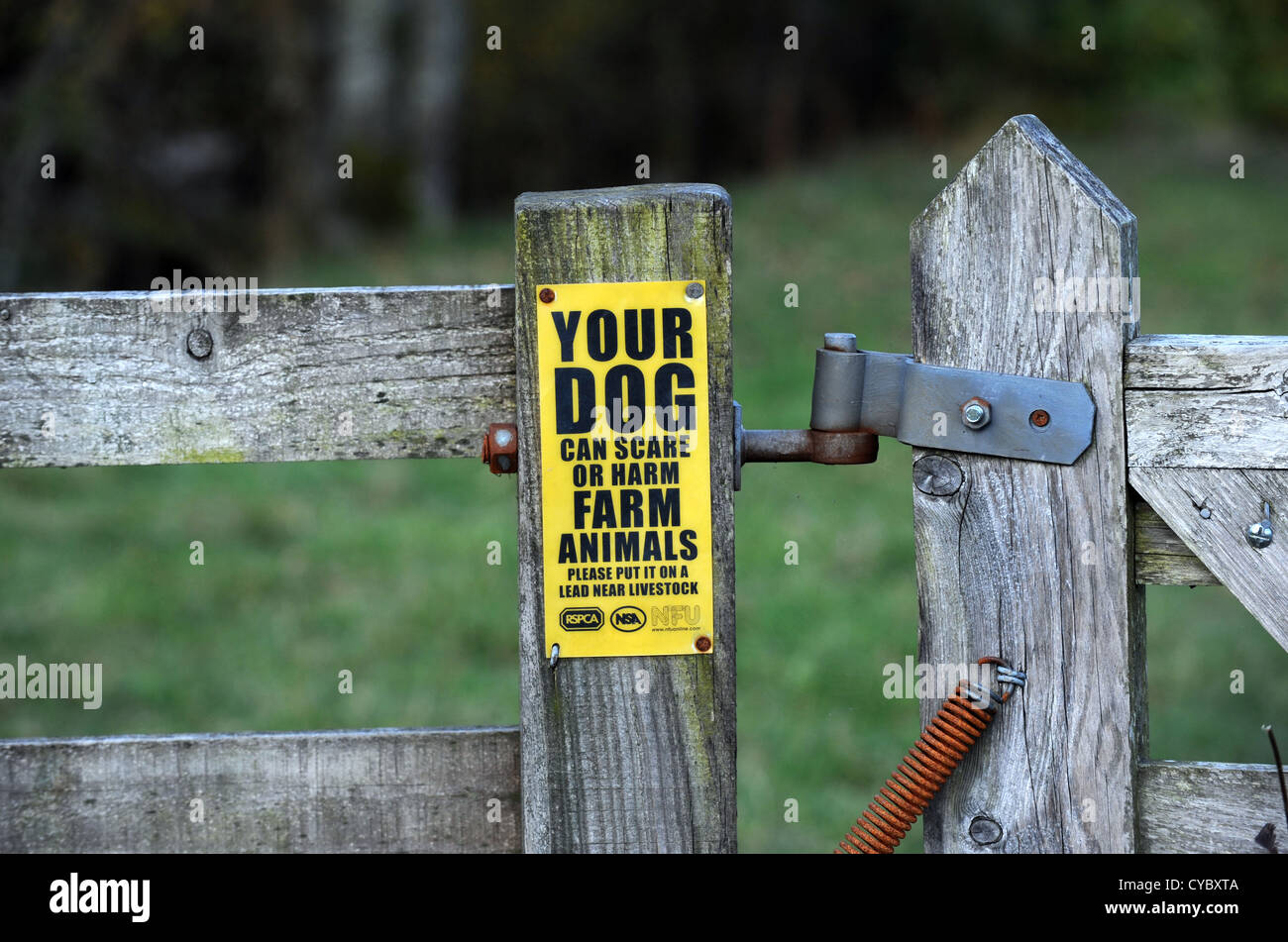 Farming signs on gates warning dog owners to take care with their animals in the Lake District UK Stock Photo