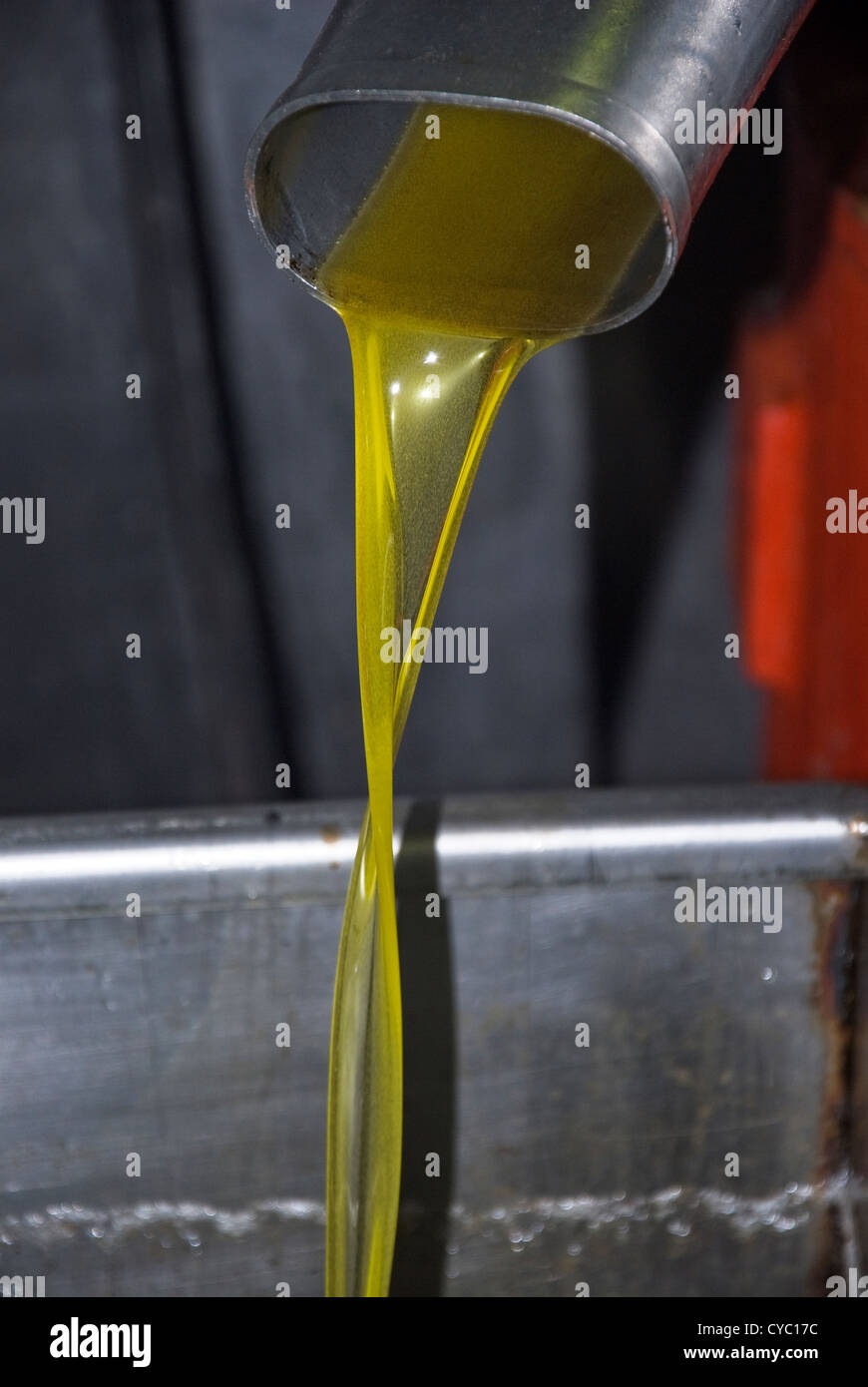 Freshly pressed olive oil leaving the press Stock Photo