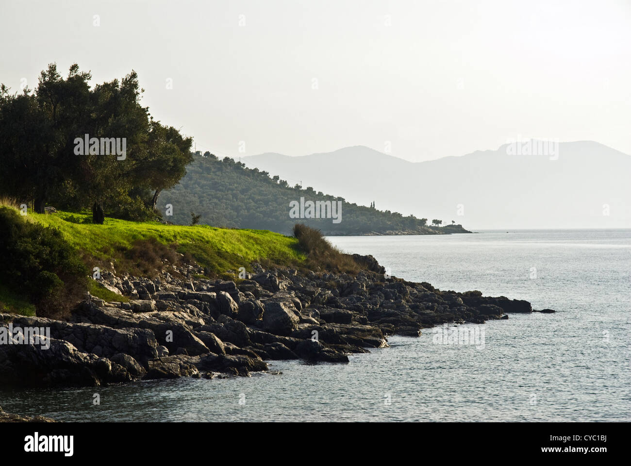 Coastal landscape with olive groves (Pelion Peninsula, Thessaly, Greece) Stock Photo