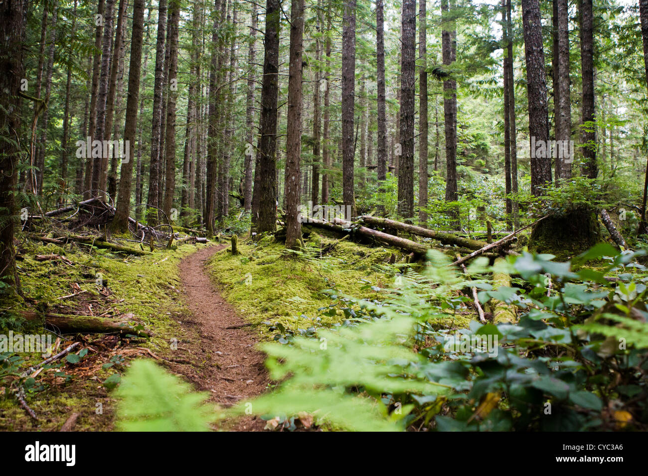 Empty trail hi-res stock photography and images - Alamy