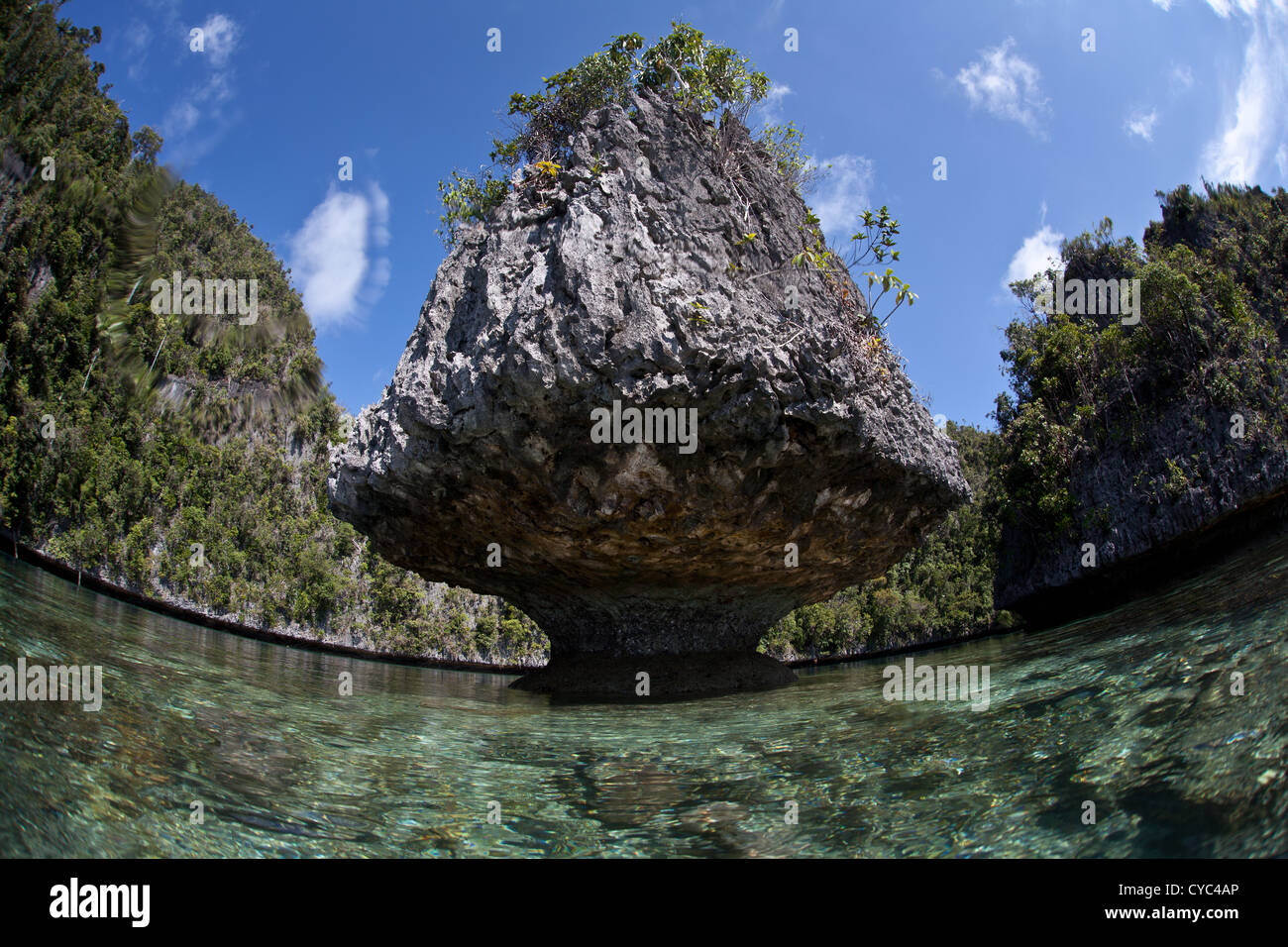 A small mushroom-shaped limestone island shows it has been heavily eroded by biological, physical, and chemical forces. Stock Photo