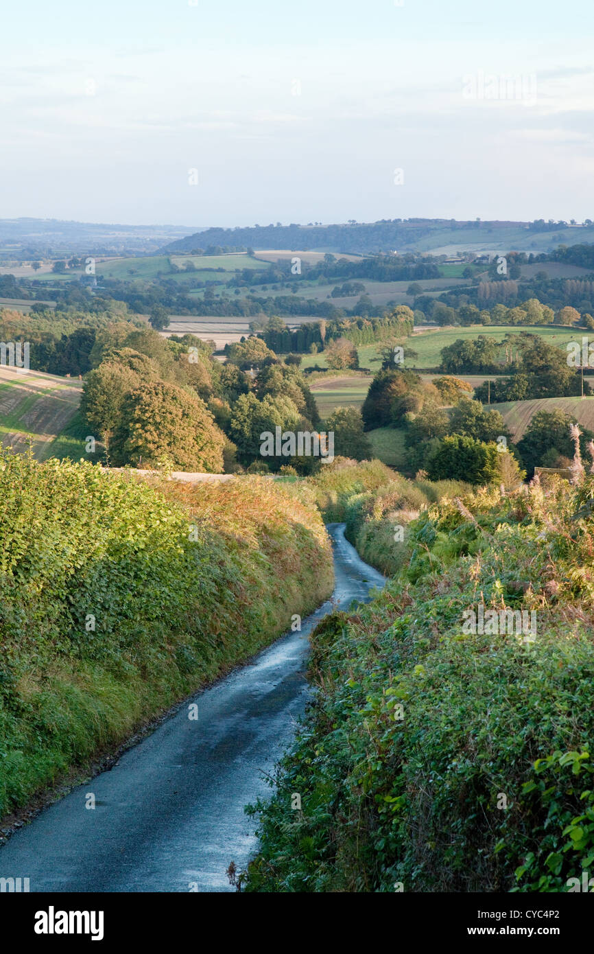 A narrow British country road in Shropshire, UK Stock Photo Alamy