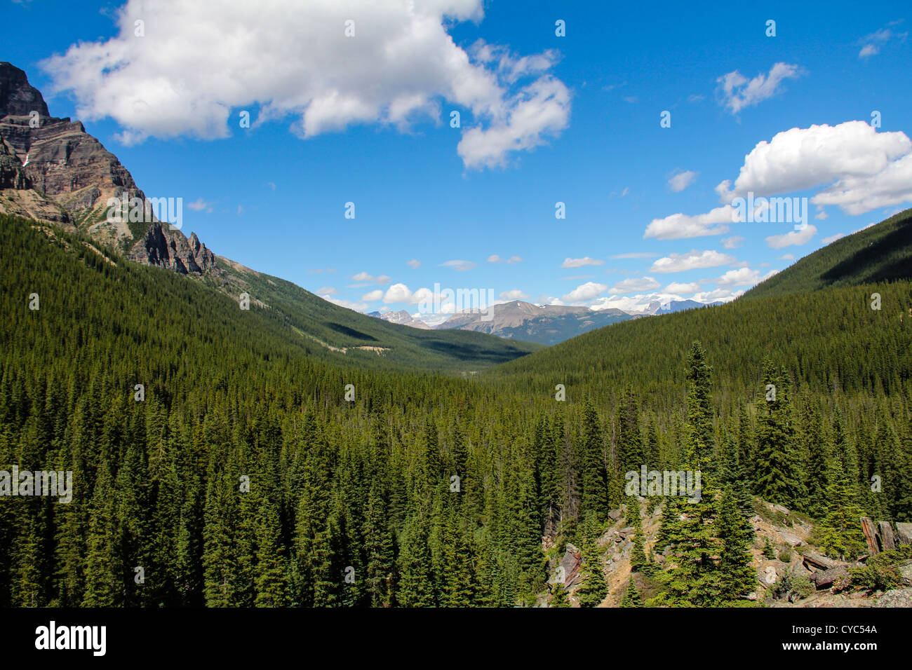 A view South from Emerald Lake, Banff National Park Stock Photo Alamy