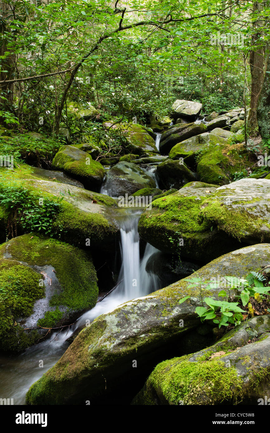 A mountain stream in the Great Smoky Mountains tumbles over rocks in Tennessee. Stock Photo