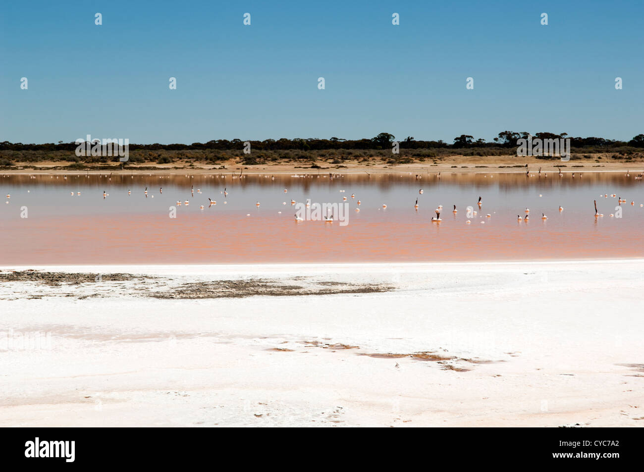 Salt lake, evidence of drought in rural Australia Stock Photo
