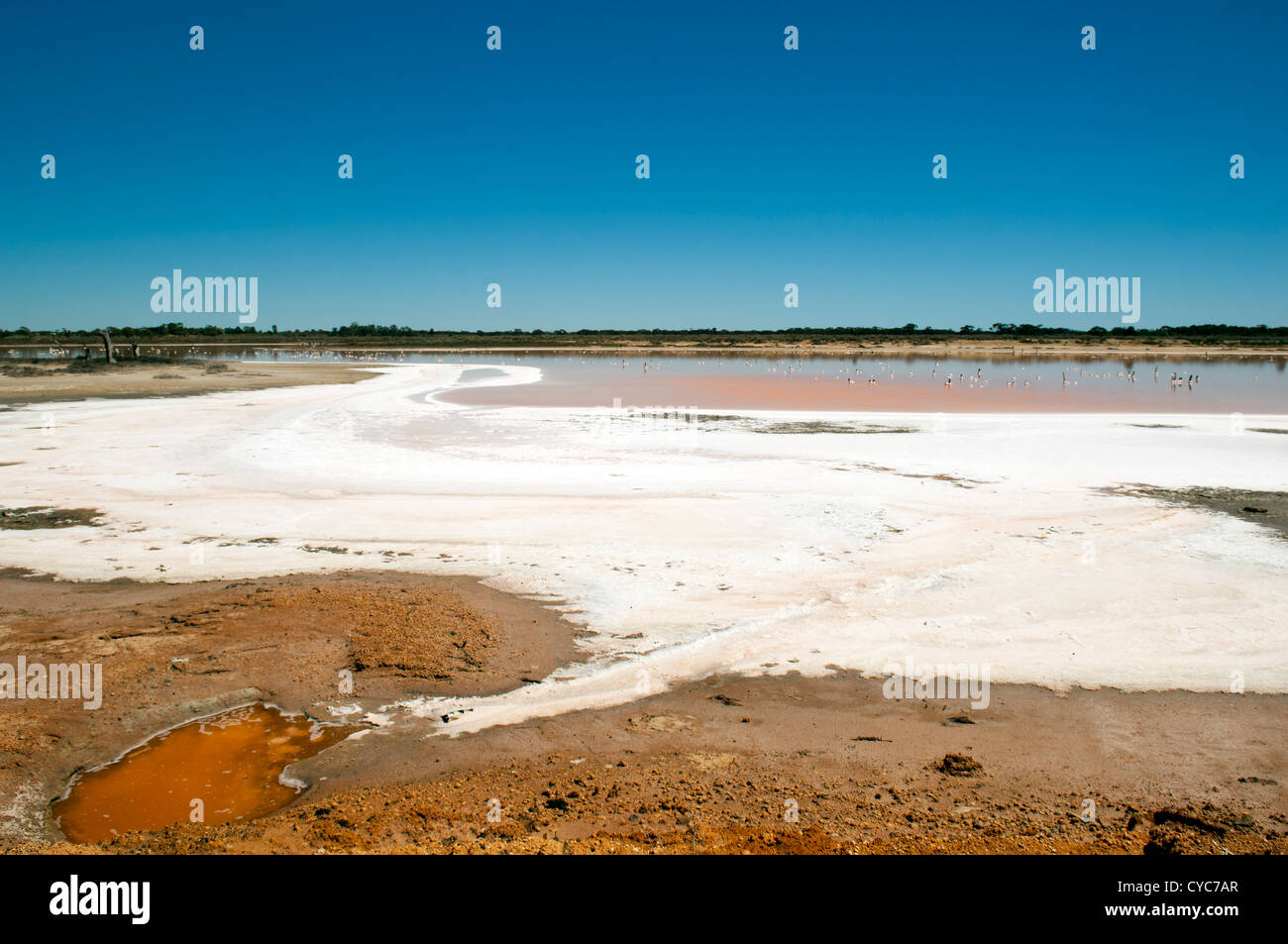 Salt lake, evidence of drought in rural Australia Stock Photo