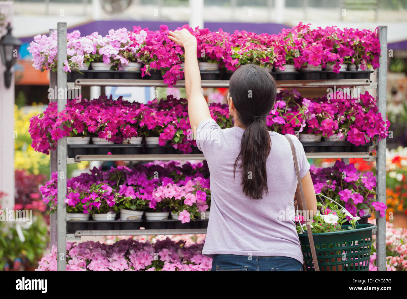 Woman taking a plant Stock Photo Alamy
