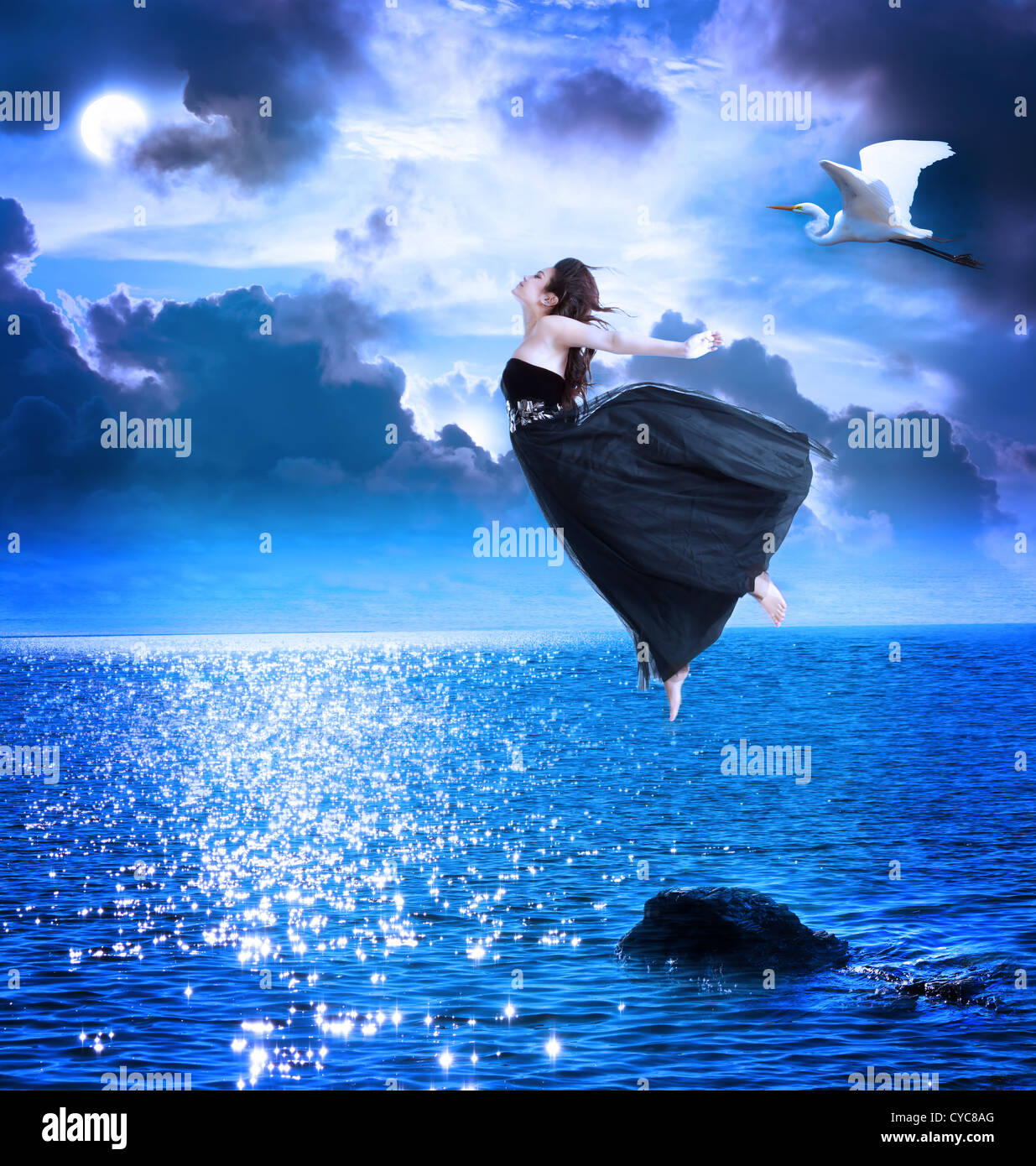Beautiful girl jumping into the blue night sky with white egret Stock ...