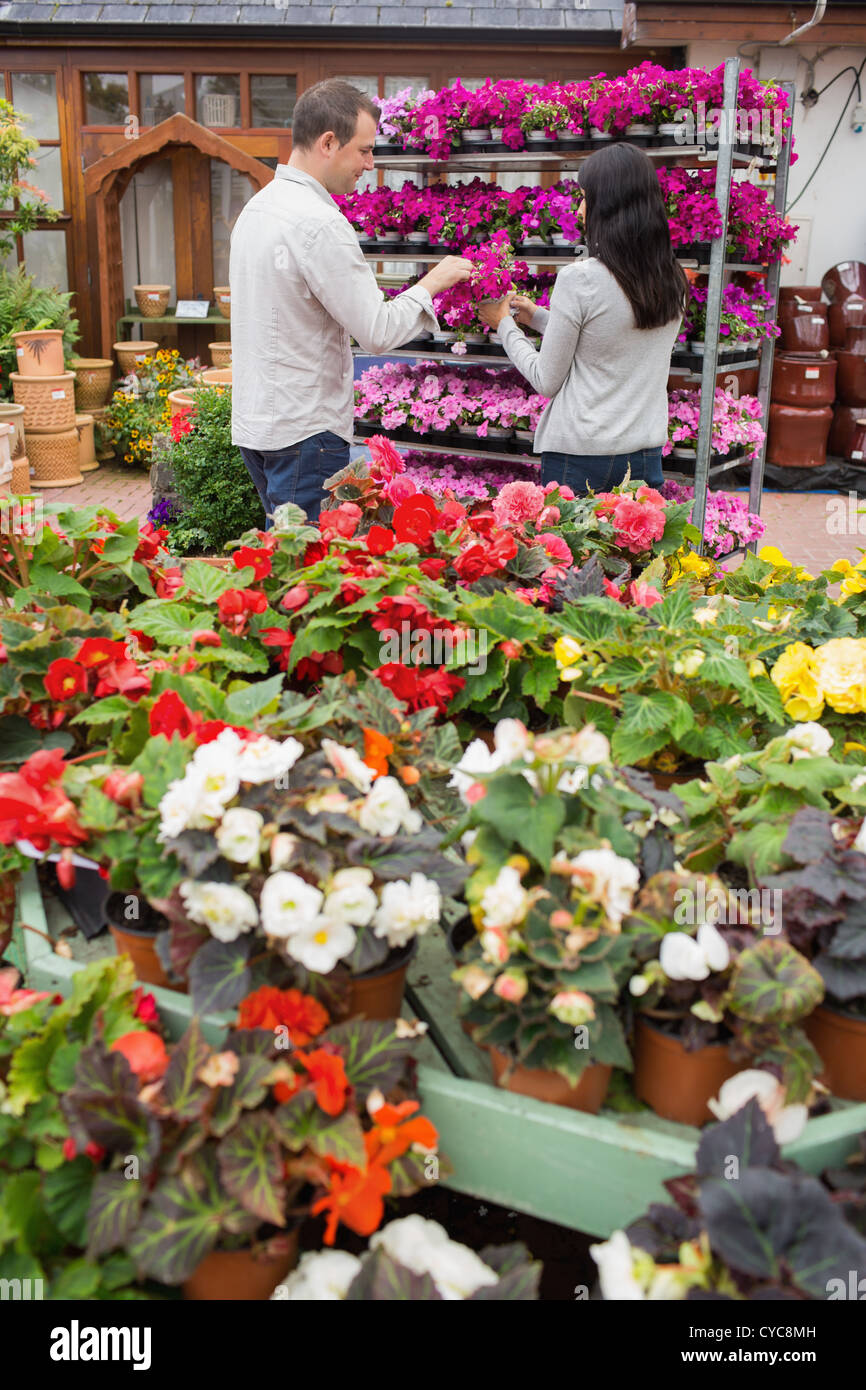 Couple choosing purple flowers Stock Photo - Alamy