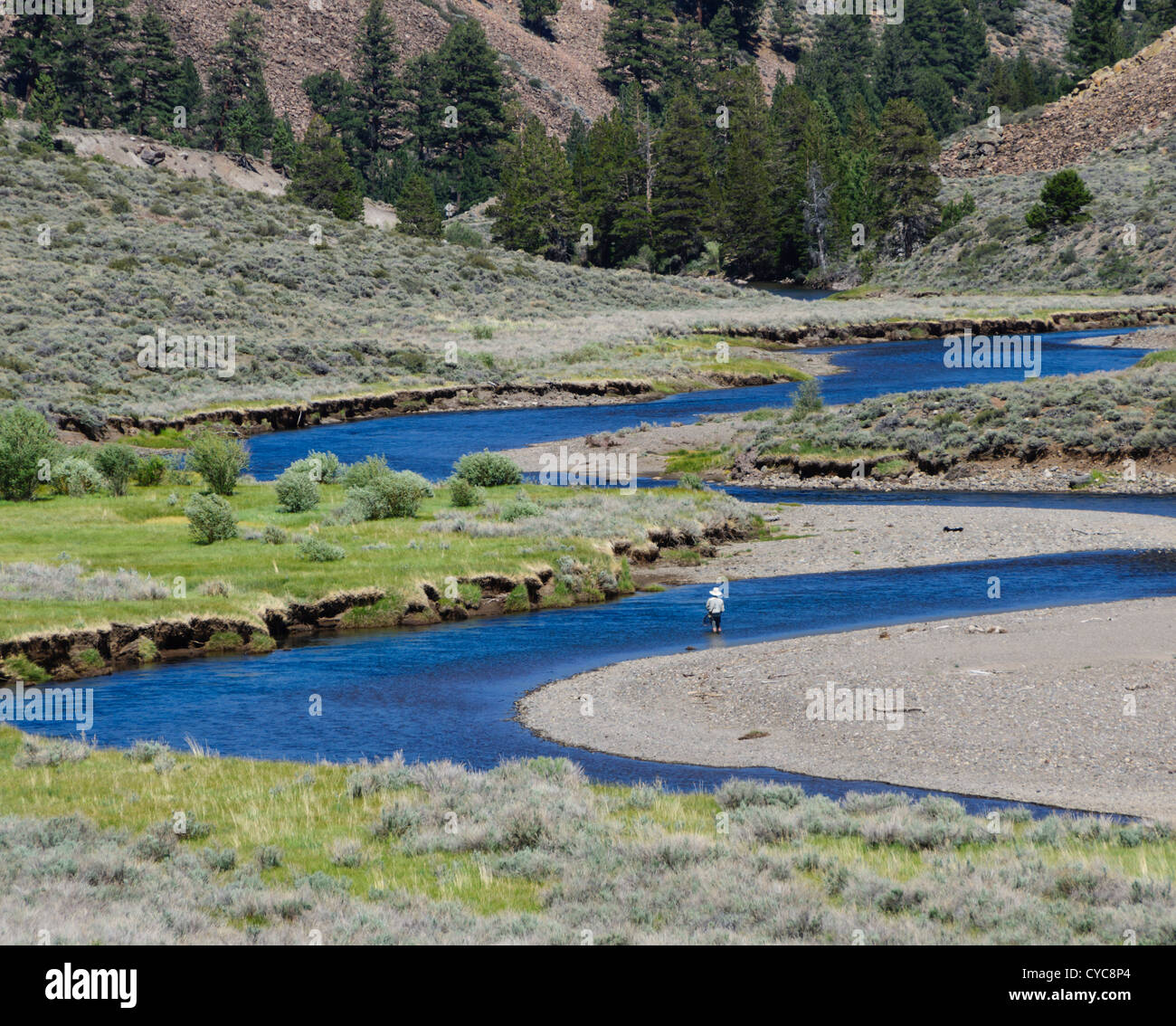 Sierra Nevada, California - Stanislaus River meandering bends before joining the Walker River in the central valley. Route 108. Stock Photo