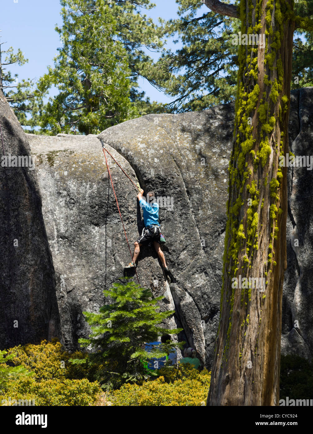 Sonora Pass, Sierra Nevada, California at Donnell Vista recreation