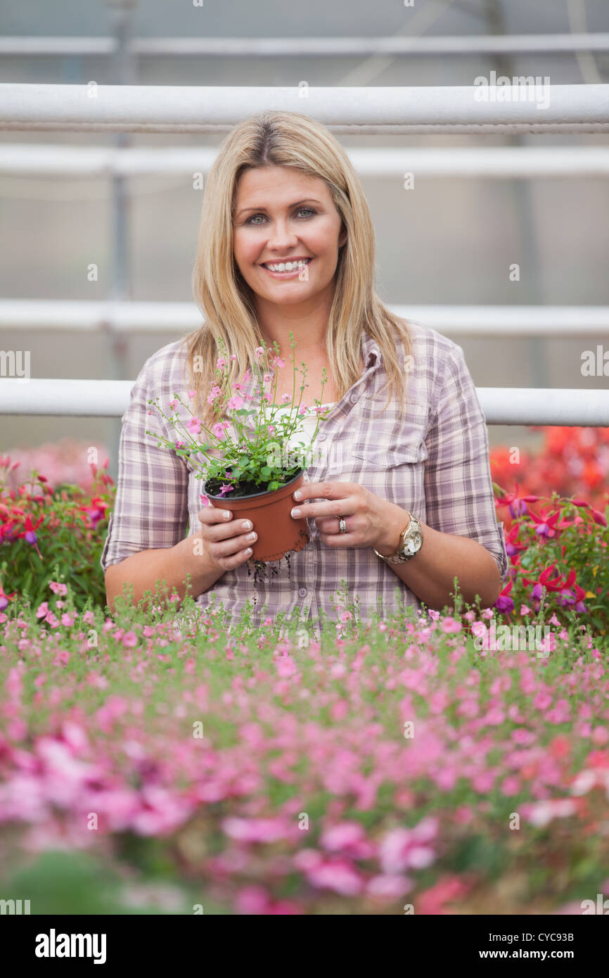Woman holding a flower while standing in greenhouse Stock Photo - Alamy