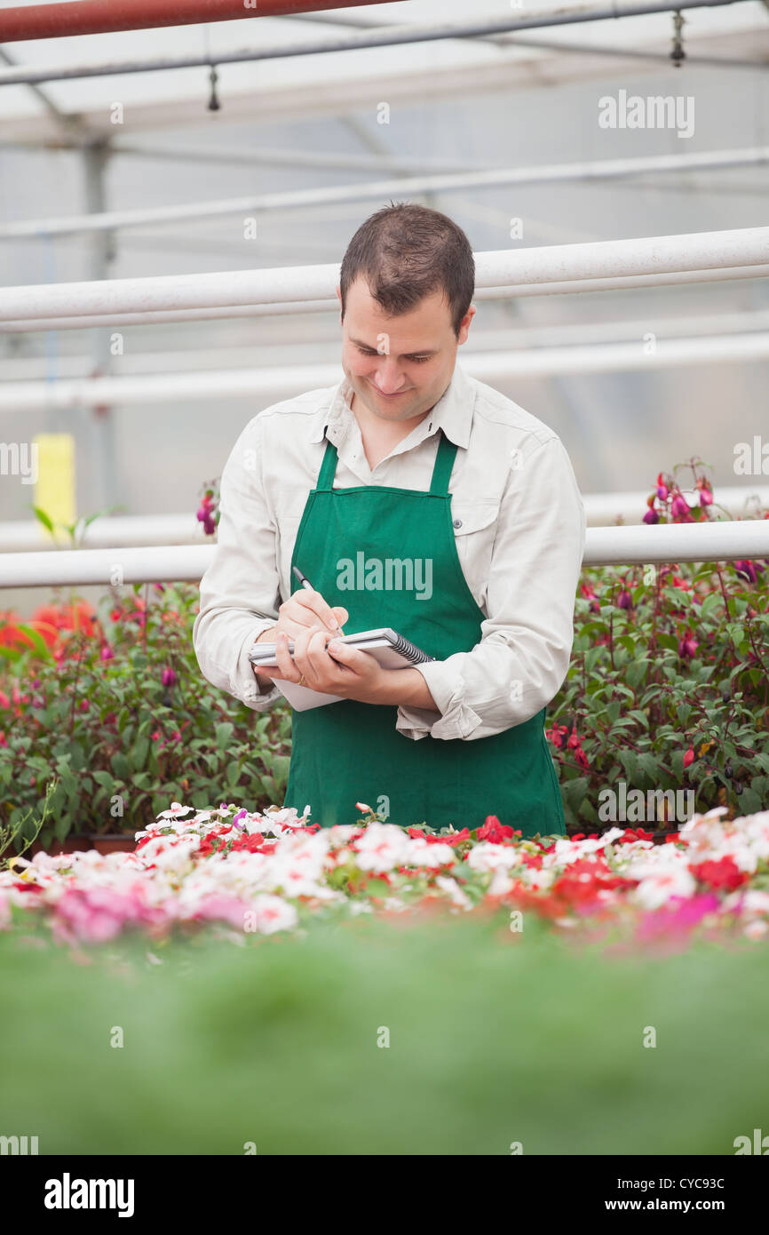 Man taking notes in greenhouse Stock Photo