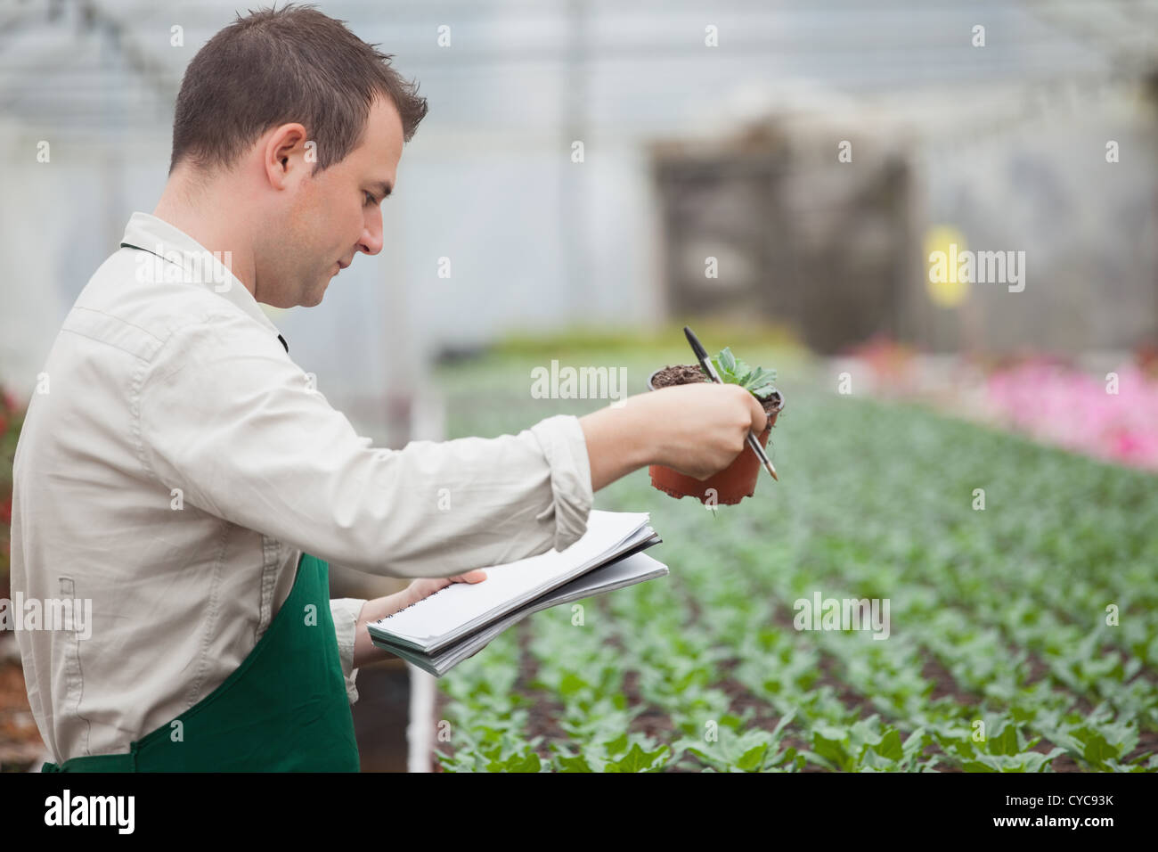 Man standing in greenhouse and taking notes Stock Photo