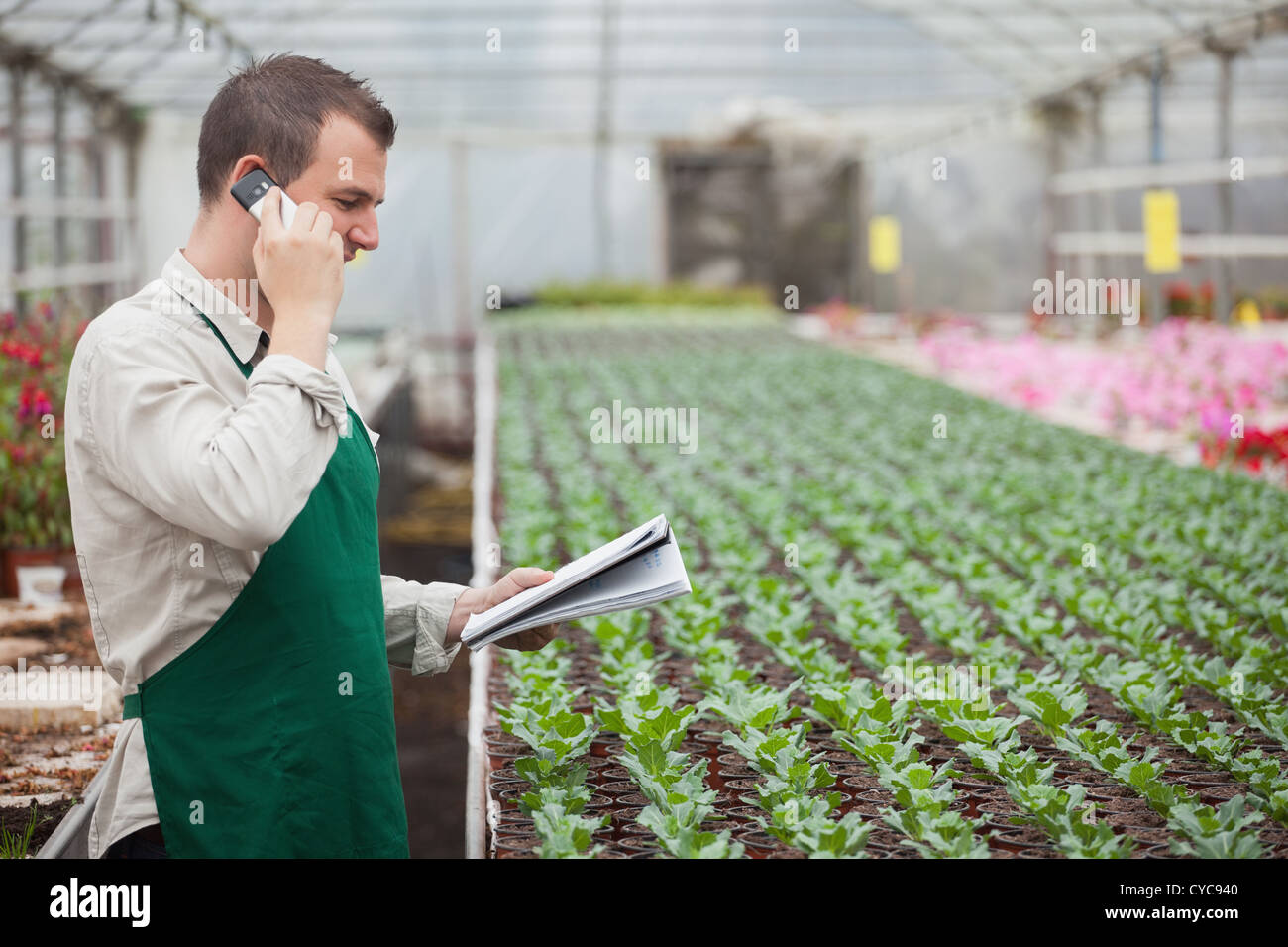 Gardener calling and taking notes in greenhouse Stock Photo