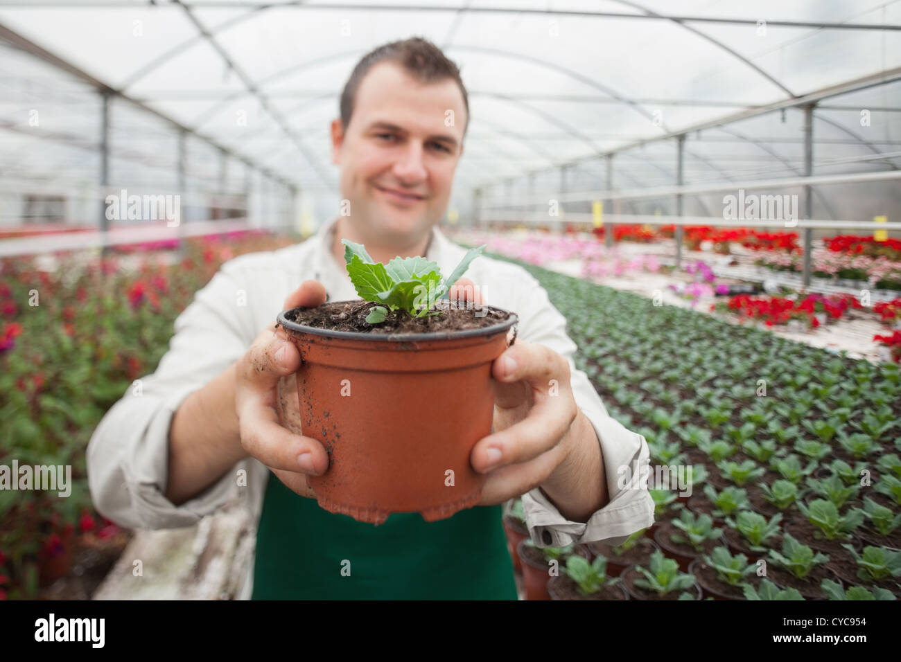 Man holding a potted plant up Stock Photo - Alamy
