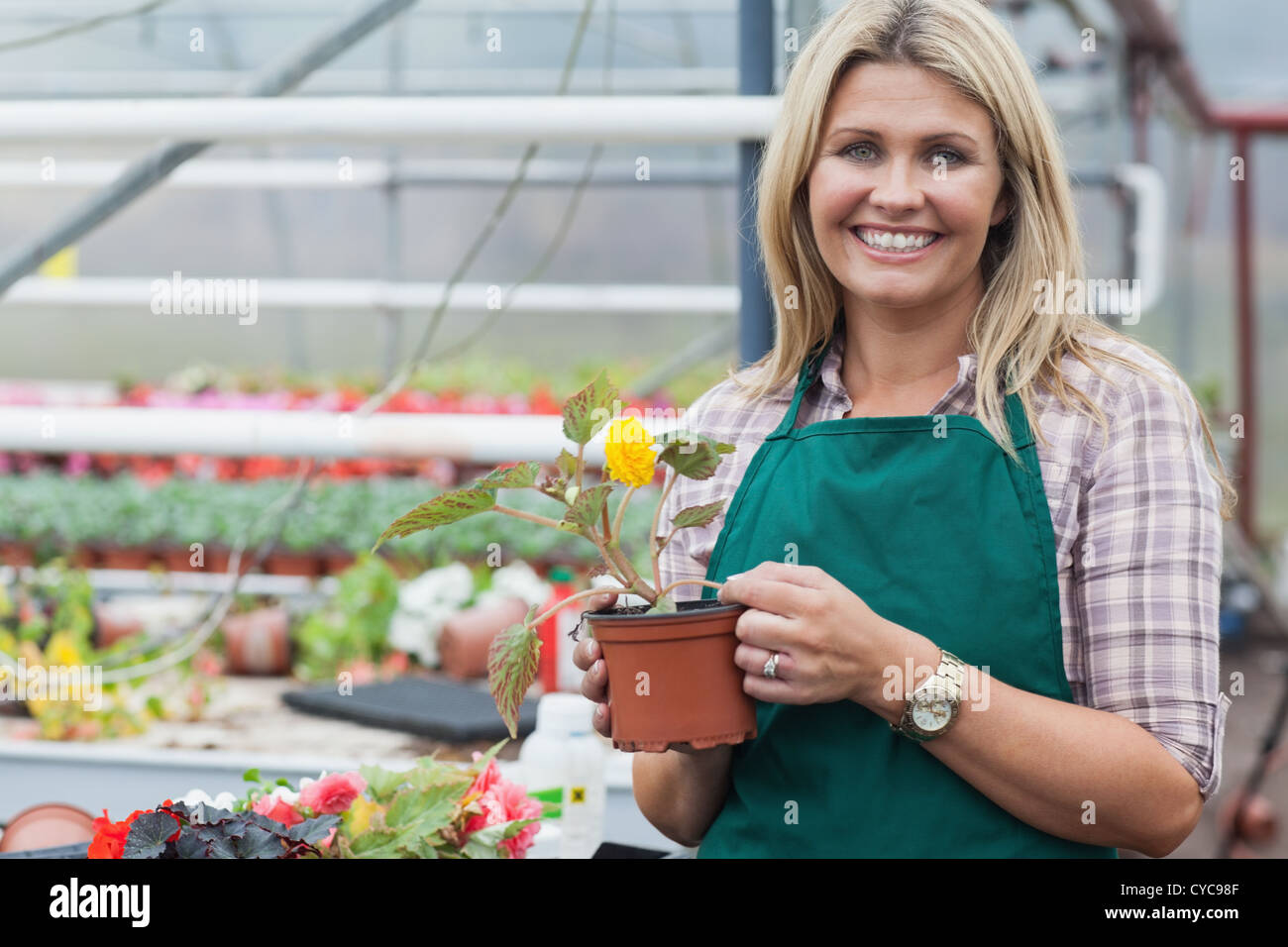 Blonde garden center worker holding flower pot Stock Photo - Alamy