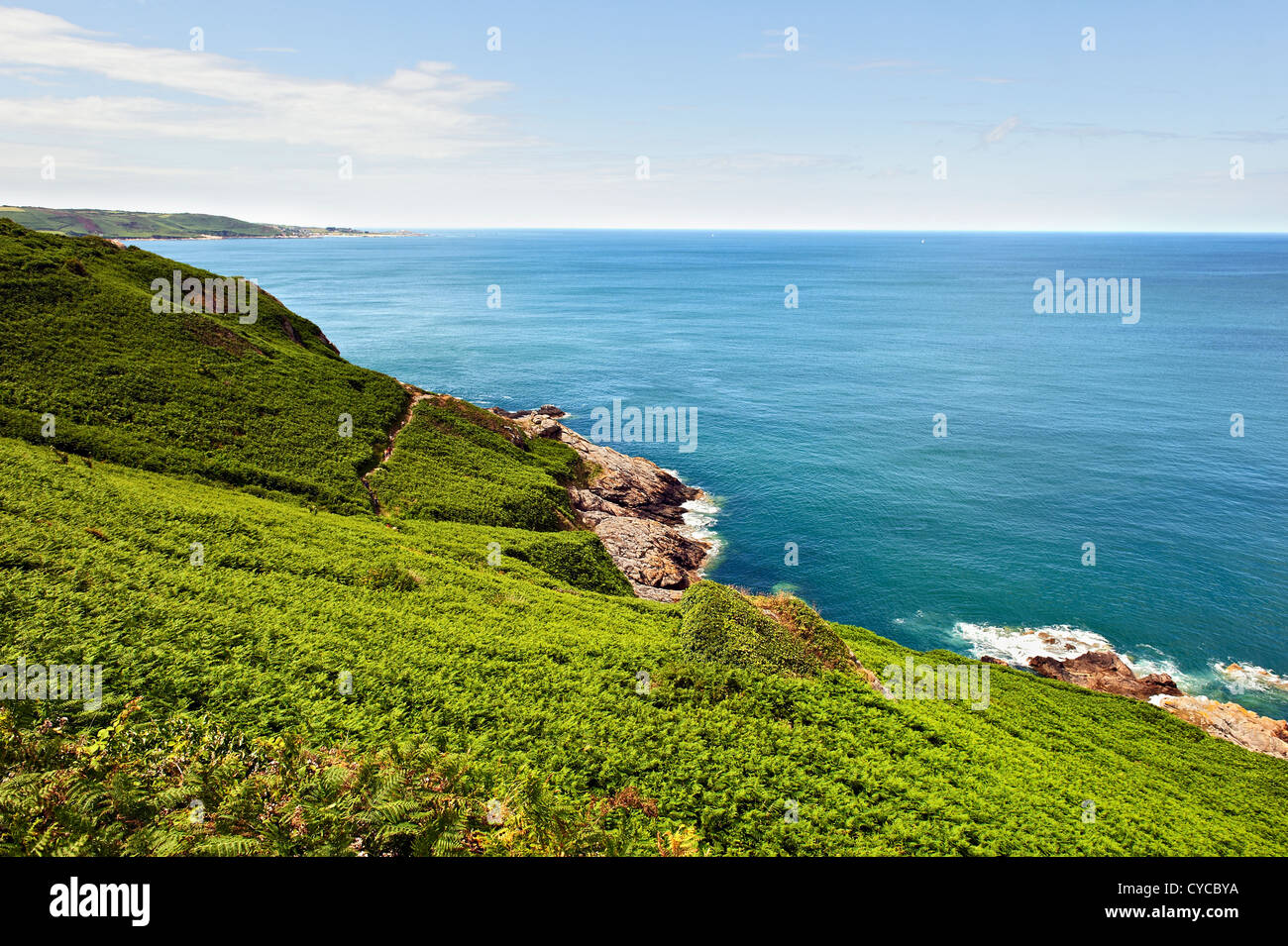 Coastal landscape, Normandy, Cotentin, France. Stock Photo