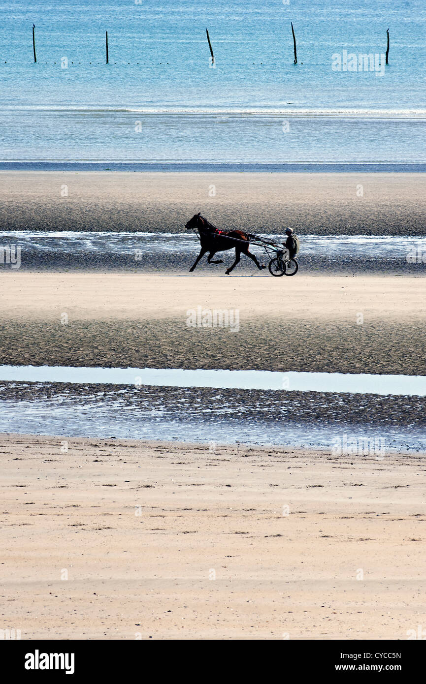 Horse race training at Utah beach, Normady, France. Stock Photo