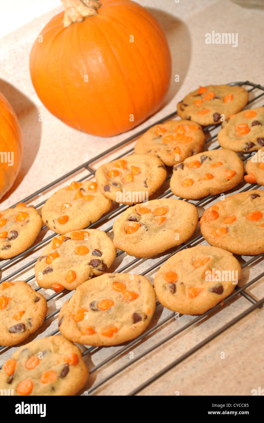 Pumpkin Cookies Cooling Stock Photo