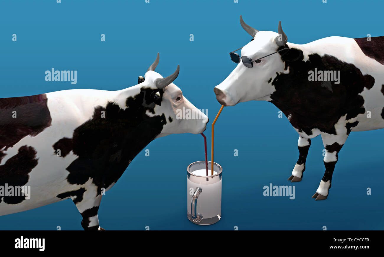 Корова плохо пьет. Коровы. Корова пьет молоко. Необычная корова. Корова пьет.