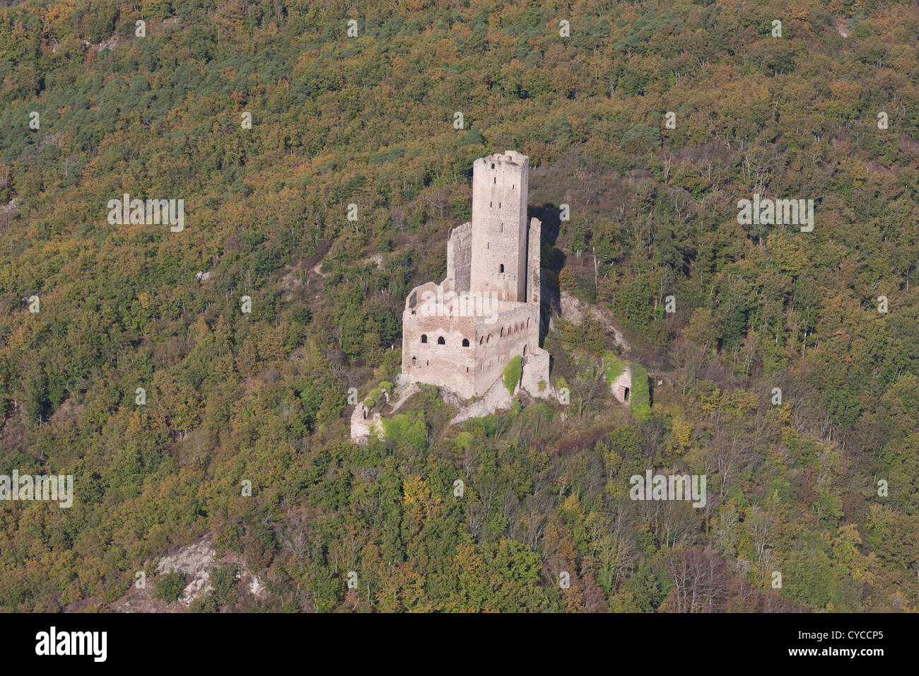 AERIAL VIEW. Medieval castle of Ortenbourg on the eastern Vosges Mountains. Scherwiller, Bas-Rhin, Alsace, Grand Est, France. Stock Photo