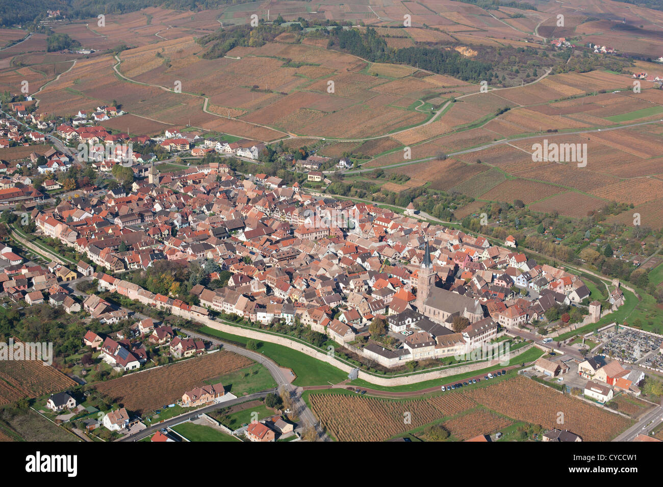 AERIAL VIEW. Fortified town in a landscape of vineyards. Bergheim, Haut-Rhin, Alsace, Grand Est, France. Stock Photo