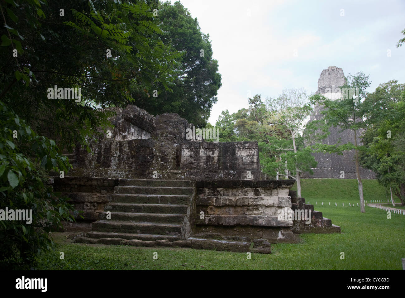 The magnificent Mayan ruins of Tikal in the jungles of Guatemala, Central America. Stock Photo