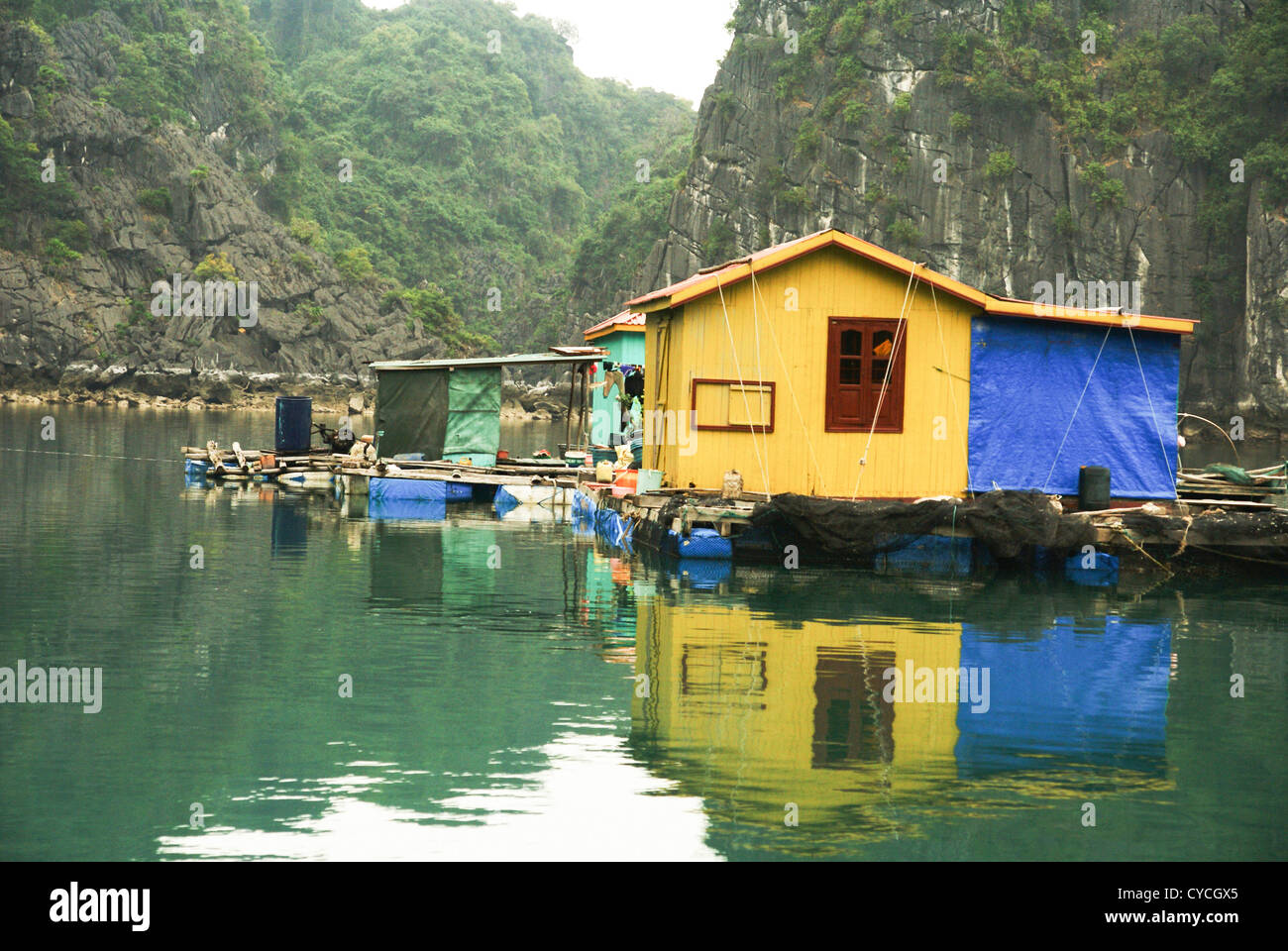 Vietnam, Halong Bay Floating Fishing Village Stock Photo Alamy