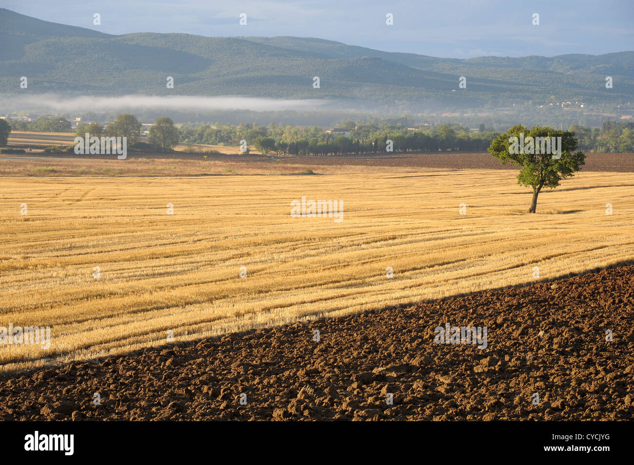 A beautiful landscape in a foggy day Stock Photo - Alamy