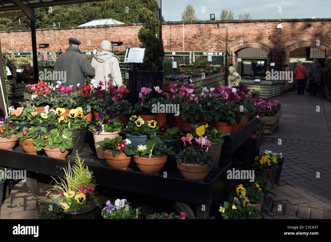Wentworth garden centre hires stock photography and images Alamy
