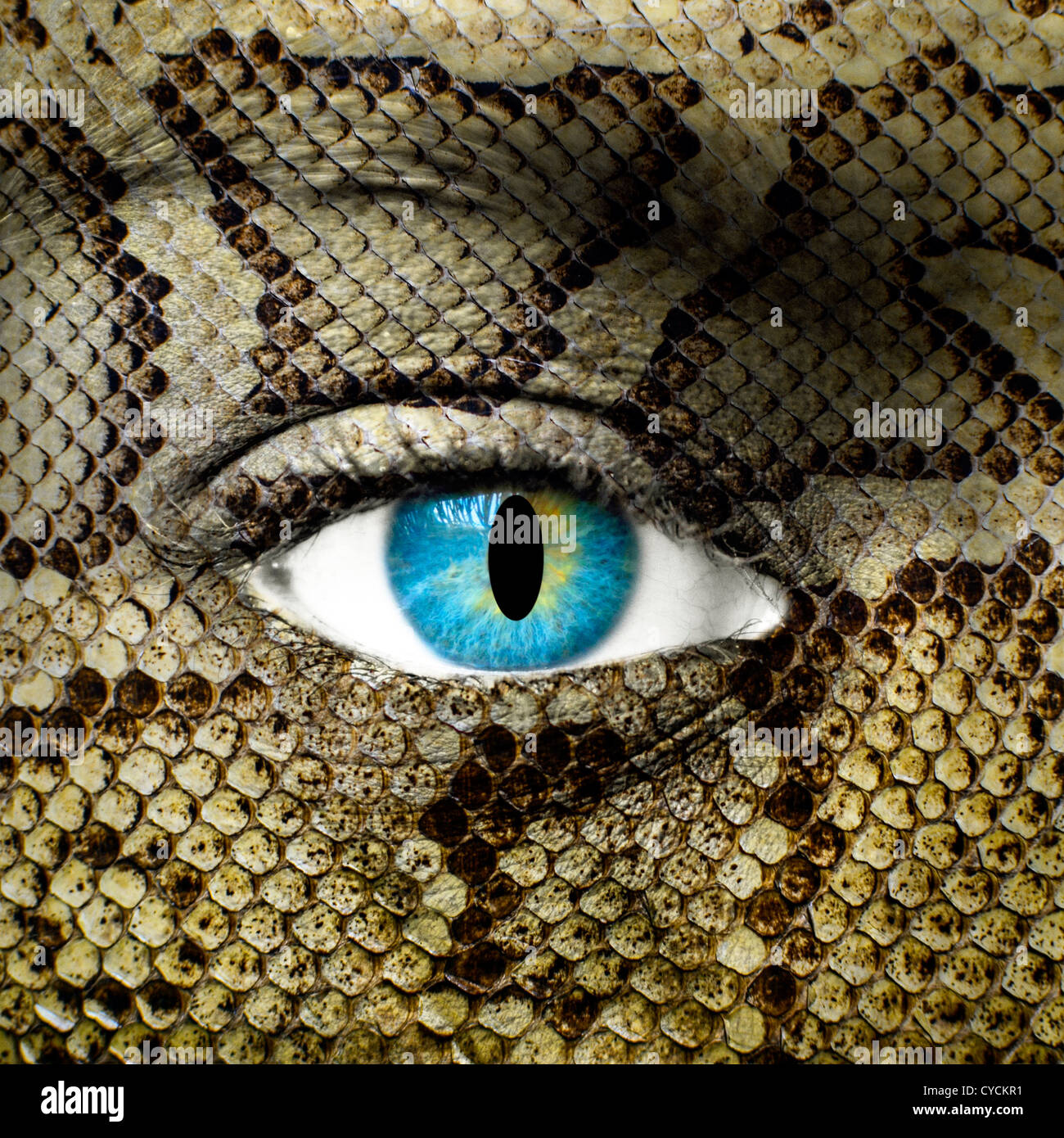 12,992 Snake Skin Texture Stock Photos - Free & Royalty-Free Stock Photos  from Dreamstime