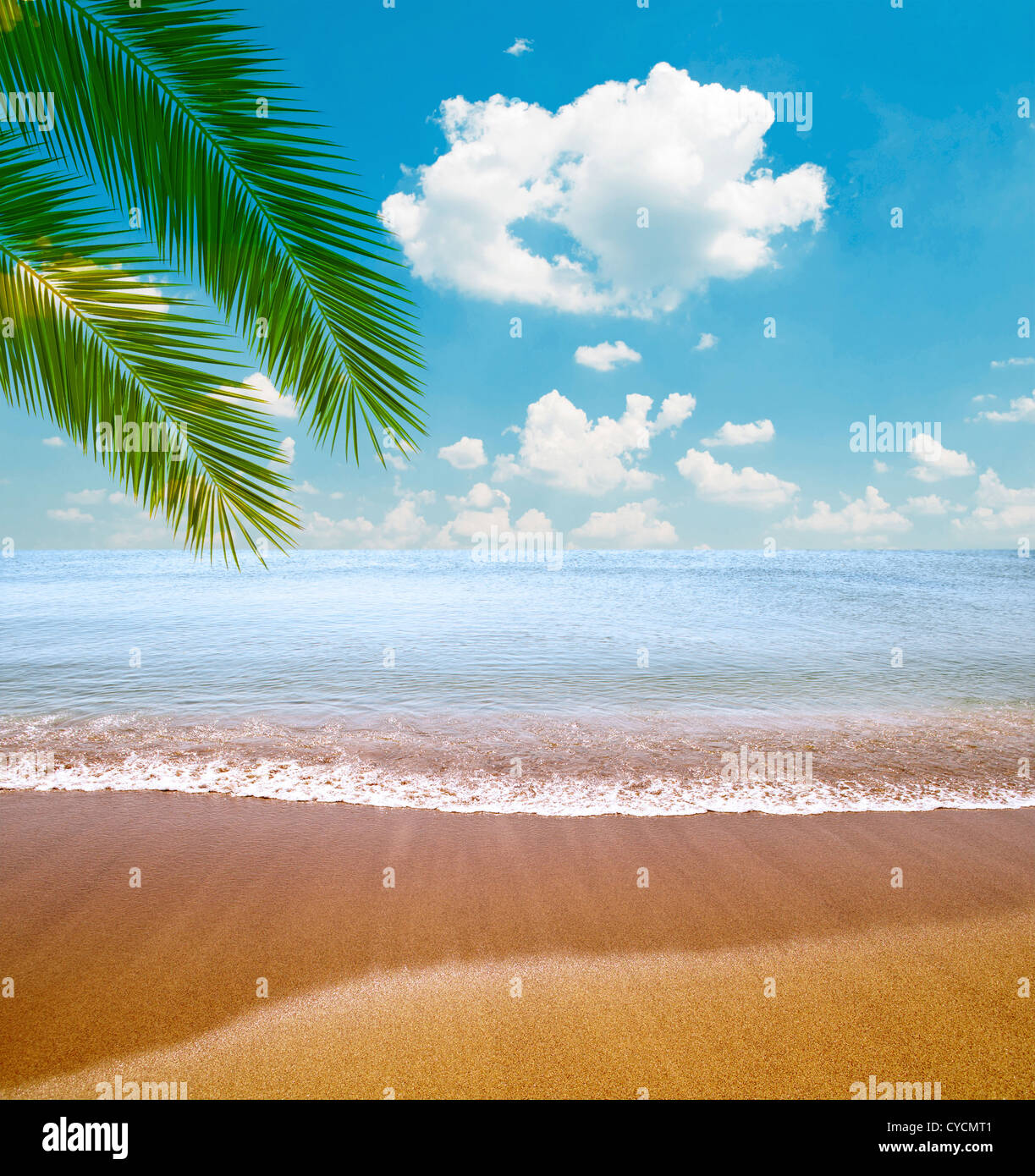 Tropical sea and beach with palm leaves Stock Photo - Alamy