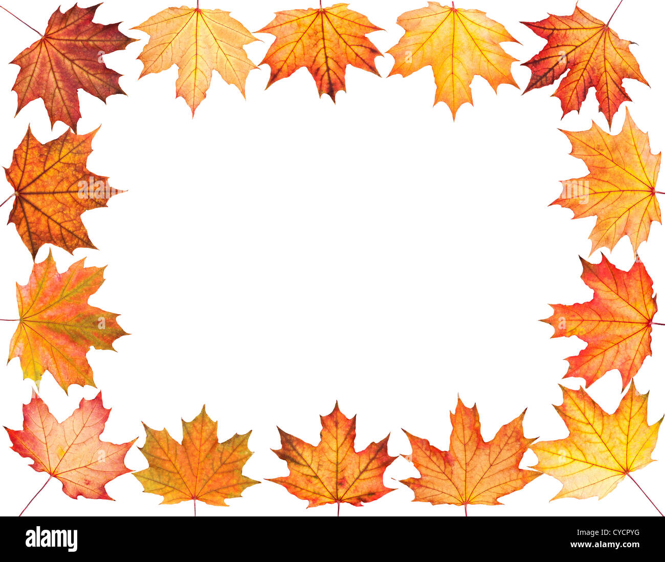 Autumn background with maple leaves Stock Photo - Alamy