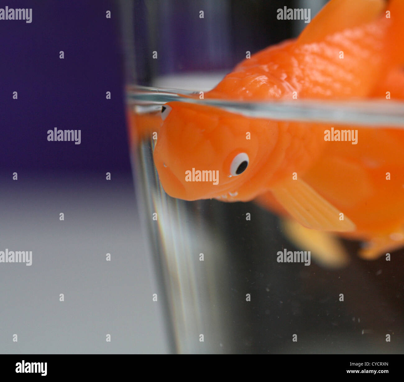 Fishbowls High Resolution Stock Photography and Images Alamy