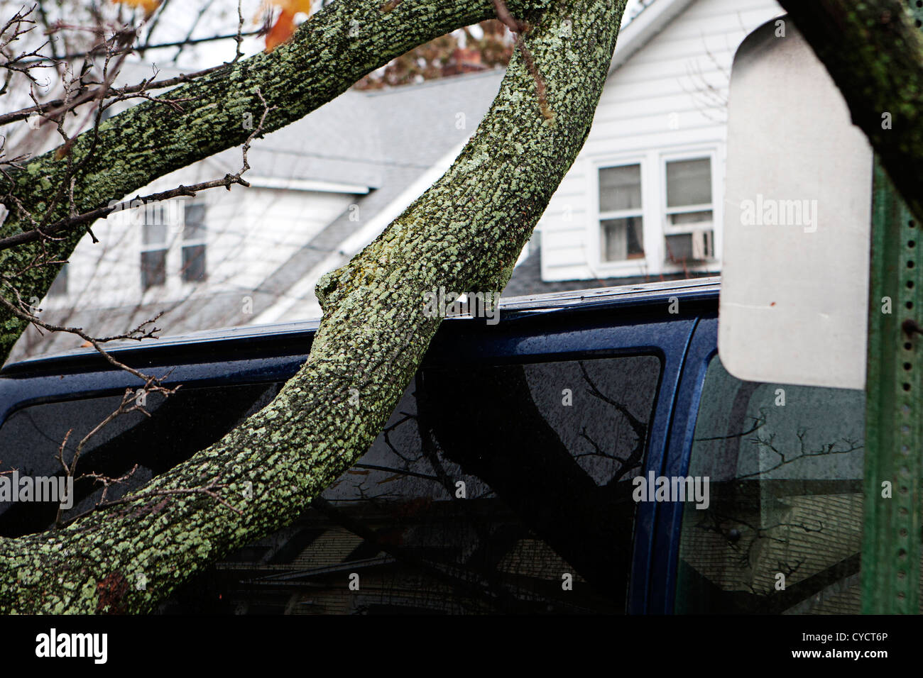 tree fell on car during super storm sandy Stock Photo Alamy