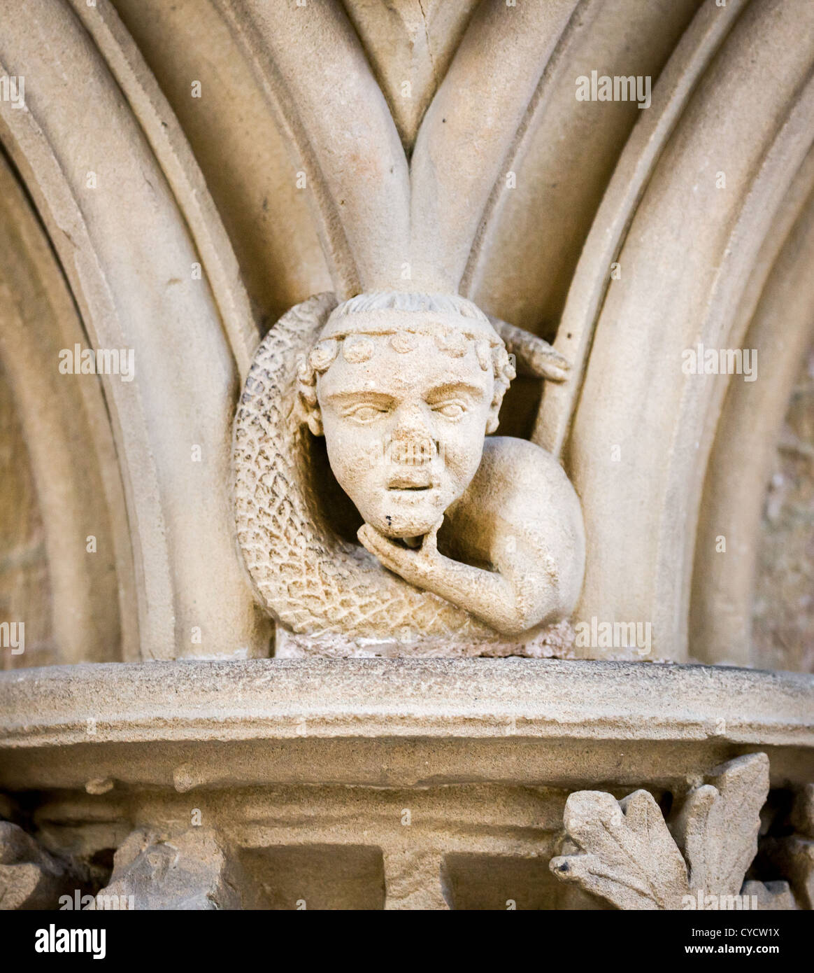 Impish merman at Southwell Minster in Nottinghamshire famous for the intricate medieval  stone carvings in its chapter house. Stock Photo