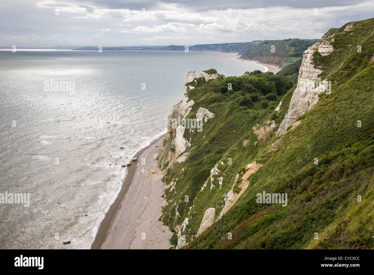Limestone cliffs at Beer Head in Devon looking towards Bay