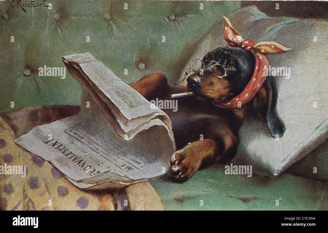 a dog in an old postcard Stock Photo