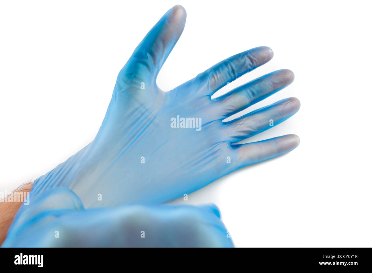 cleaning gloves coles