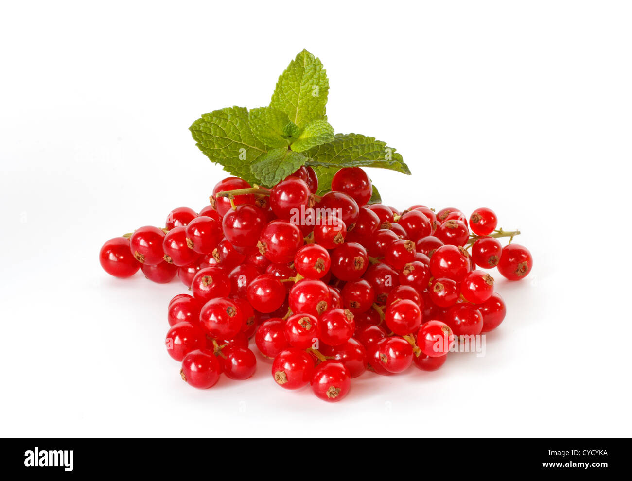 Fresh ripe red currant with a sprig of mint Stock Photo