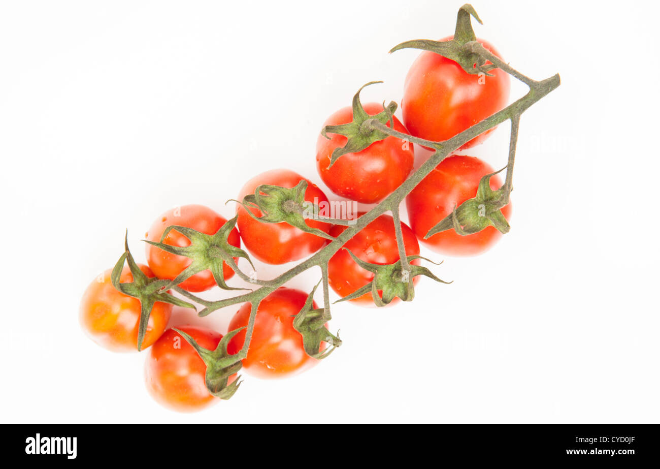 Vine tomatoes Stock Photo Alamy